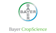 Logo - Bayer